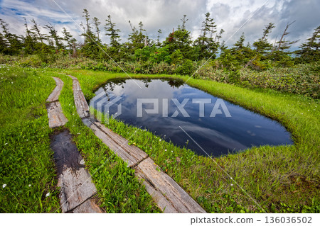 會津駒嶽山脊和中門山附近的夏季沼澤地 136036502