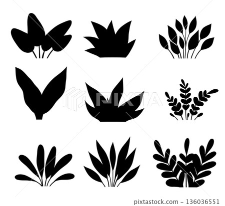 Black botanical silhouette shapes and plant elements set. Minimal flat style for icons, logos, patterns, branding, web graphics Black botanical silhouette shapes and plant elements set. Minimal flat style for icons, logos, patterns, branding, web graphics 136036551