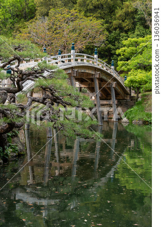 Wooden bridge and pond in the garden Wooden bridge and pond in the garden 136036941