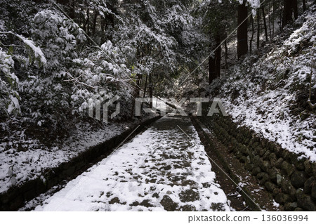 觀音寺的雪景:石階上積滿了雪。 觀音寺的雪景:石階上積滿了雪。 136036994