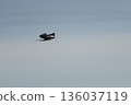 聖的飛行 136037119