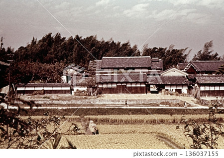 1957年的老照片:日本農村一位富裕農民的宅邸 1957年的老照片:日本農村一位富裕農民的宅邸 136037155