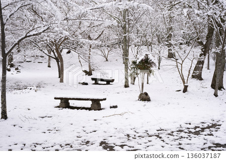觀音寺的雪景 136037187