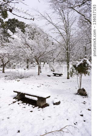 Snow scene at Kanshinji Temple 136037193