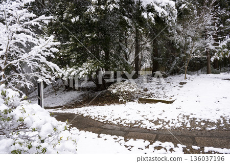 觀音寺的雪景 觀音寺的雪景 136037196
