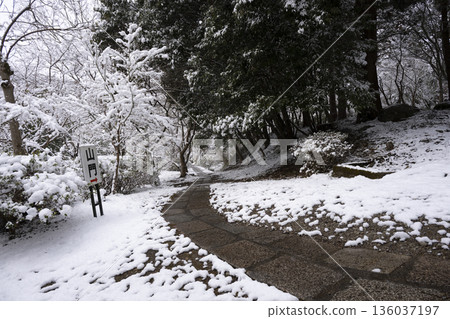 Snow scene at Kanshinji Temple 136037197