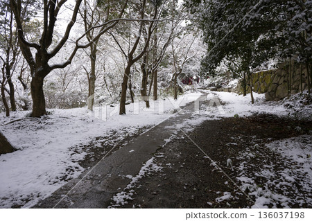 Snow scene at Kanshinji Temple 136037198