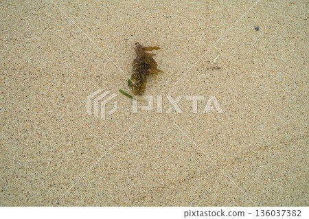 beach, beaches, sandy beach 136037382