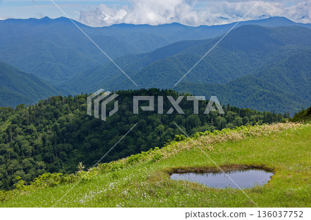 A wetland with blooming cottongrass between Mount Aizu-Komagatake and Otsugi Pass A wetland with blooming cottongrass between Mount Aizu-Komagatake and Otsugi Pass 136037752