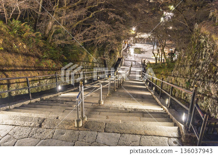 Winter at Mount Otowa, Kiyomizu-dera Temple, stairs leading from the main hall to Otowa Falls, Kyoto City, Kyoto Prefecture Winter at Mount Otowa, Kiyomizu-dera Temple, stairs leading from the main hall to Otowa Falls, Kyoto City, Kyoto Prefecture 136037943