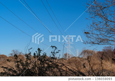 Steel tower and dead leaves Steel tower and dead leaves 136038093