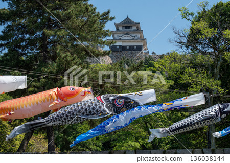 城堡和鯉魚擬餌 136038144