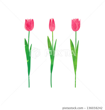 Vector illustration of red tulips painted with watercolors and pastels Vector illustration of red tulips painted with watercolors and pastels 136038242