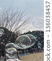 Soap bubbles flying in the sky in the park 136038457