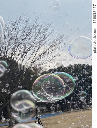 Soap bubbles flying in the sky in the park Soap bubbles flying in the sky in the park 136038457