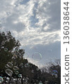 Soap bubbles flying in the sky in the park 136038644