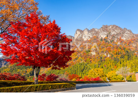 群馬縣富岡市妙義町妙義山全景公園裡的一棵楓樹，以及日本三大名山之一的妙義山，秋色正濃。 136039059