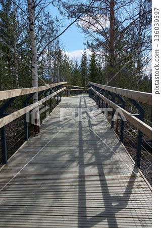 Elevated wooden boardwalk with railing leads through a spring forest. Nature trail for outdoor recreation for a fresh air concept. Elevated wooden boardwalk with railing leads through a spring forest. Nature trail for outdoor recreation for a fresh air concept. 136039597