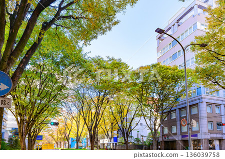 仙台青葉街秋季 136039758