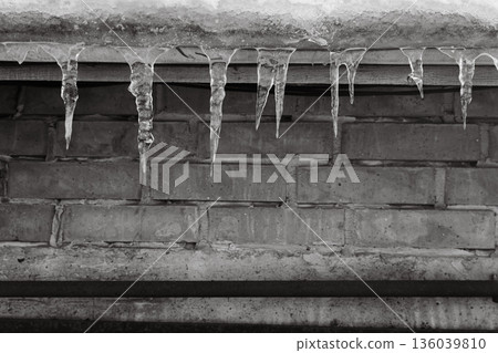 Icicles hanging on the roof, black and white. Winter weather in details, monochrome. Frost and ice background. Melting icicles. Long sharp icicles. Frozen water. Cold weather concept.  136039810