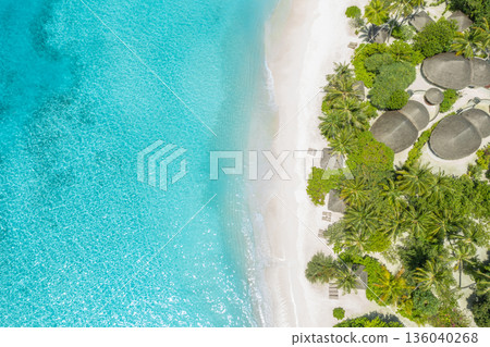 Fantastic aerial beach resort landscape. Relax palm trees serene ocean lagoon summer holiday nature Fantastic aerial beach resort landscape. Relax palm trees serene ocean lagoon summer holiday nature 136040268