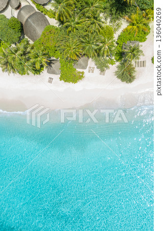 Top aerial tropical resort beach. Tranquil ocean view palm trees and white sand summer background 136040269