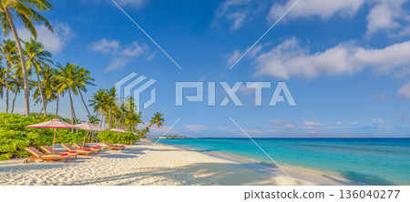 Stunning tropical beach landscape panoramic wallpaper with turquoise ocean and blue sky view 136040277