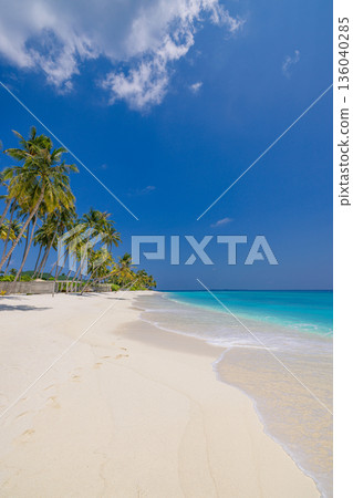 Stunning tropical beach landscape vertical wallpaper with tranquil ocean view palm trees sunshine blue sky paradise Stunning tropical beach landscape vertical wallpaper with tranquil ocean view palm trees sunshine blue sky paradise 136040285