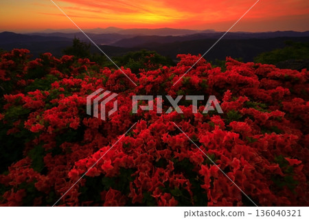 從德泉山眺望杜鵑花 從德泉山眺望杜鵑花 136040321