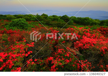 從德泉山眺望杜鵑花 從德泉山眺望杜鵑花 136040327