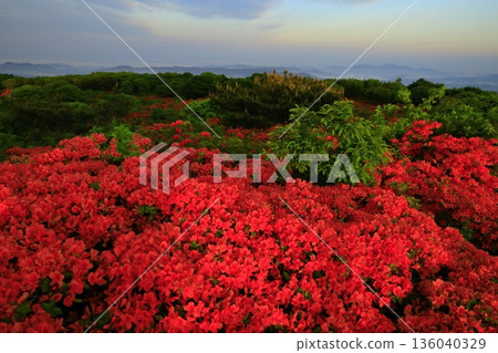 從德泉山眺望杜鵑花 從德泉山眺望杜鵑花 136040329