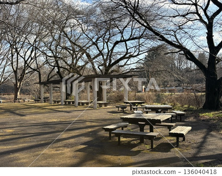 Rest spots in Musashino Park Rest spots in Musashino Park 136040418