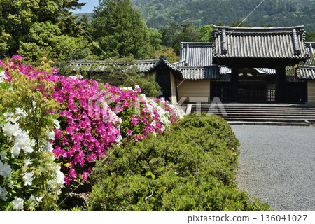 Zuishin-in Temple: Azaleas and Yakuimon Gate (Yamashina Ward, Kyoto City) 136041027
