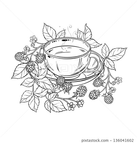 Cup of Blackberry Tea Outline Illustration. Cup of Blackberry Tea Outline Illustration. 136041602