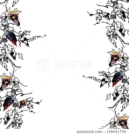 Vineyard seamless banner with fruiting red grapevine, ripe grape clusters on twisted trunks. Isolated illustration hand drawn in watercolor and ink for menus, winery tour promotion, catalog work. 136041749