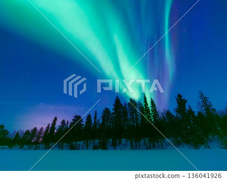 Panoramic horizontal view of the aurora borealis dancing over a snowy forest in Scandinavia. 136041926