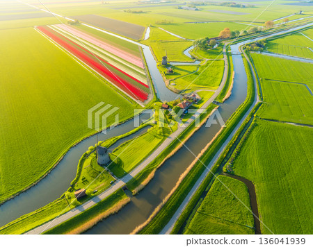 Aerial view of vibrant tulip fields in the Netherlands at sunrise. Aerial view of vibrant tulip fields in the Netherlands at sunrise. 136041939