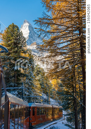 戈爾內格拉特鐵路穿過瑞士瓦萊州採爾馬特白雪皚皚的落葉松林。 136042065