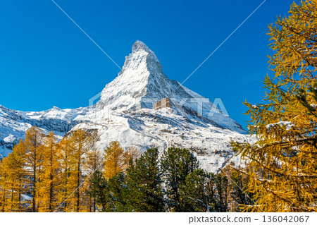 金色的落葉松和馬特洪峰 136042067