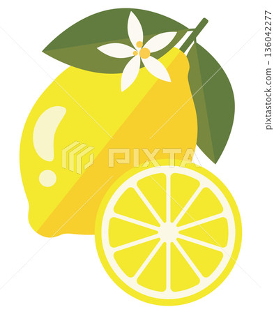 Vector illustration of lemon fruit with leaves, flower and slice Vector illustration of lemon fruit with leaves, flower and slice 136042277