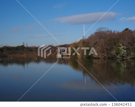 Two snails 136042451