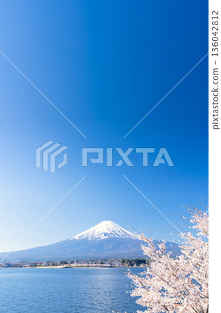富士山和河口湖的櫻花盛開。 136042812
