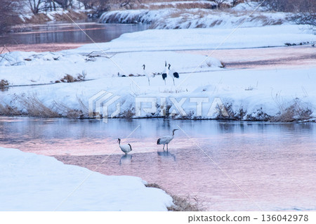 From Otowa Bridge at sunset From Otowa Bridge at sunset 136042978