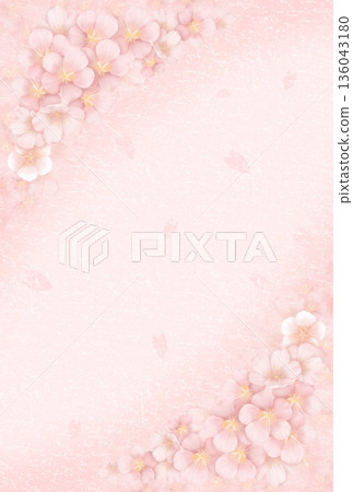 Cherry Blossom Background (Japanese Paper/Postcard) B-3 136043180