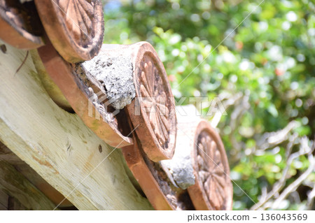 Okinawa's red roof tile roof 136043569