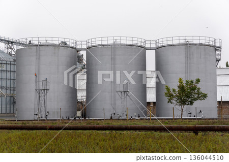 Silvery storage silos rise prominently amidst green grass and a gray overcast sky, hinting at agricultural endeavors nearby 136044510