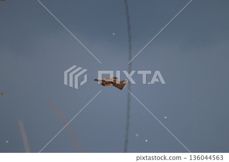 一隻風箏高高地飛向天空 136044563