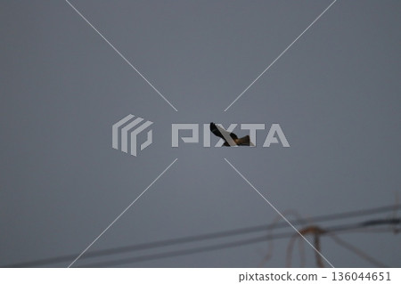 一隻風箏高高地飛向天空 136044651