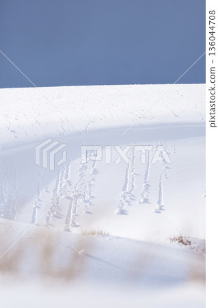 鳥取沙丘的雪景 136044708