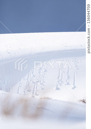 鳥取沙丘的雪景 鳥取沙丘的雪景 136044709
